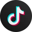 Idaho Chamber TikTok Logo Link